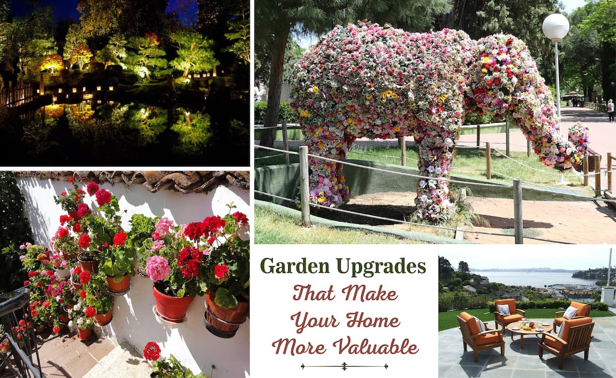 Garden Transformation Garden Transformation