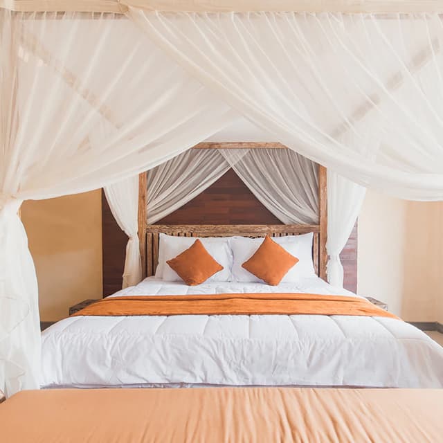 Beautiful Canopy Wooden Bed