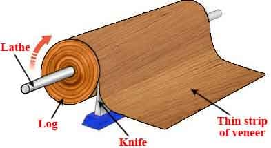 0309090003-01-Rotary-Cut-Wood-Veneer Rotary Cut Veneer