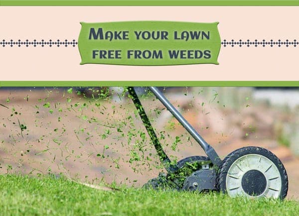 Make your lawn Free from Weeds – 00 – 1403010001 Make your lawn free from weeds