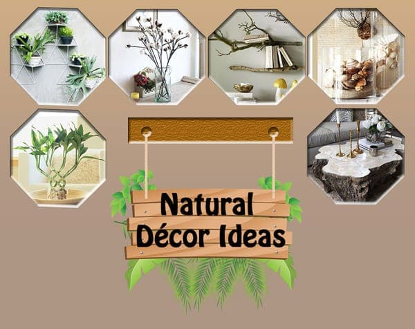 Natural Décor Ideas – 00 -0505010006 Natural Décor Ideas