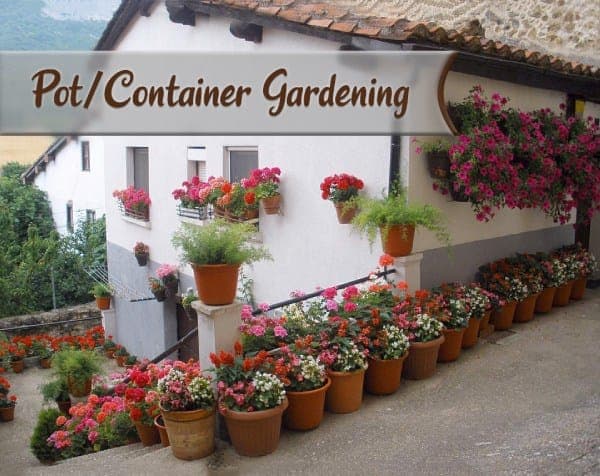 Pot or Container Gardening for Homes – 01 – 1403020001 Pot or Container Gardening for Homes