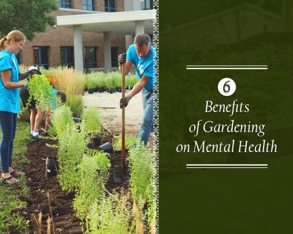 Benefits of Gardening on Mental Health – 01 – 1416020001 Benefits of Gardening on Mental Health