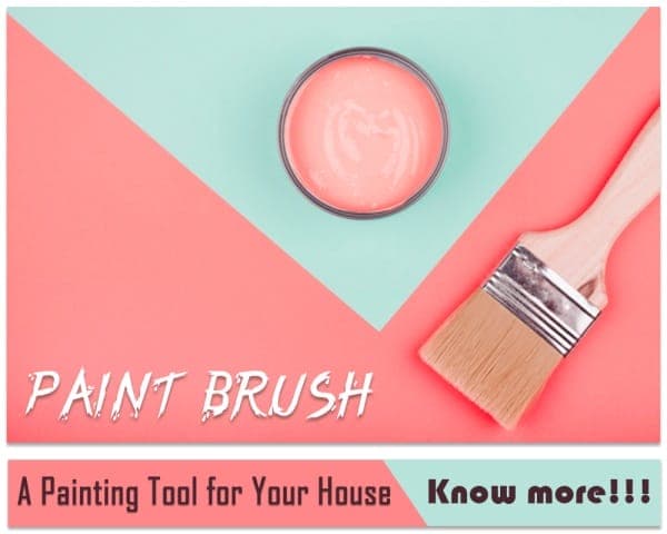 Paint Brush – 01 – 0308020017 Paint Brush