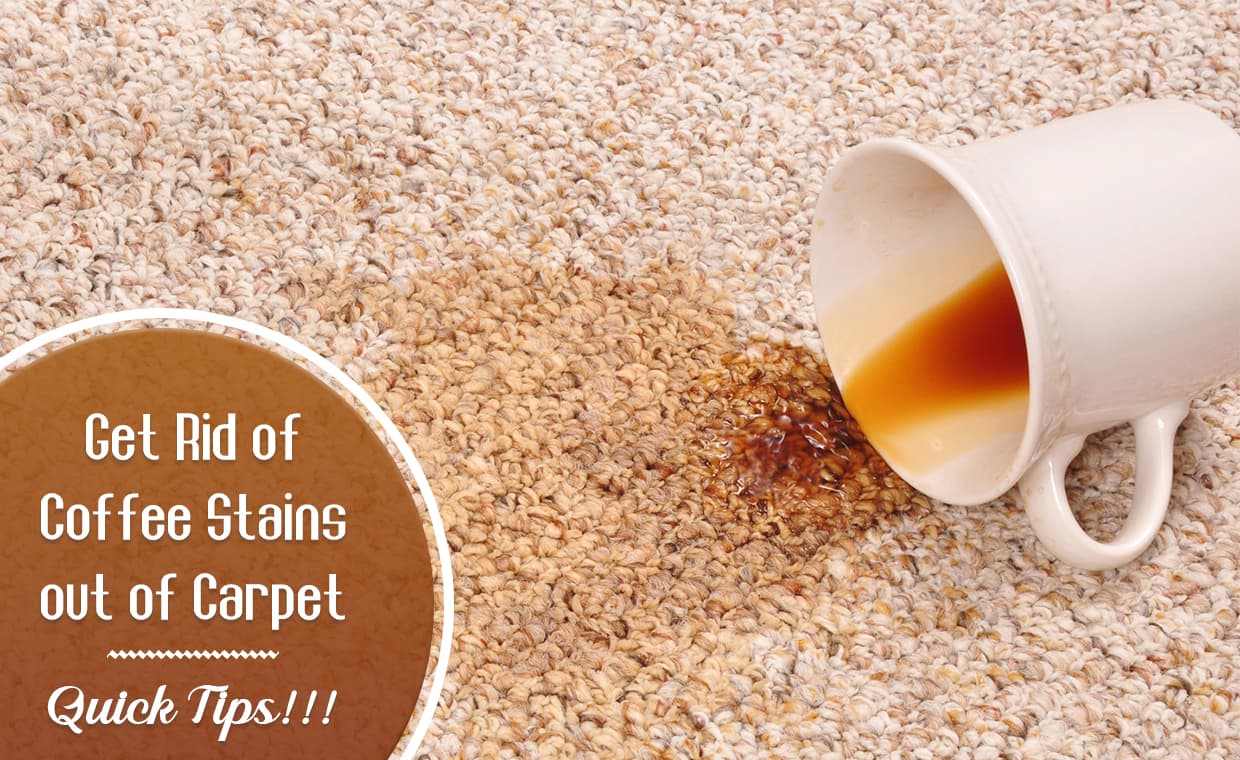Coffee Spill on the Carpet Remove Coffee Stains from Carpet
