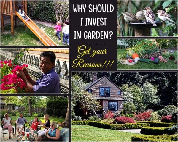 Reasons to invest in garden – Garden Investment – 01 – 1401010004 Reasons to invest in garden – Garden Investment