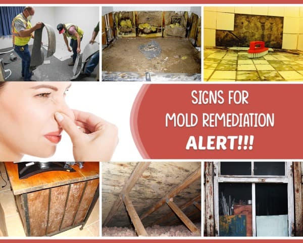 Sign for Mold Remediation – 01 – 0211010011 Sign for Mold Remediation