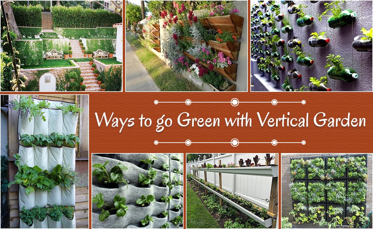 Ways to Create Vertical Garden Ways to Create Vertical Garden