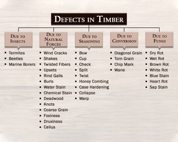 Types of Defects in Timber – 01 – 0309040004 Types of Defects in Timber