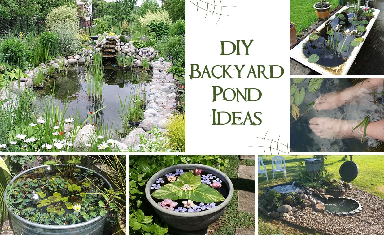 DIY Backyard Pond Ideas – 01 – 1402110002 DIY Backyard Pond Ideas