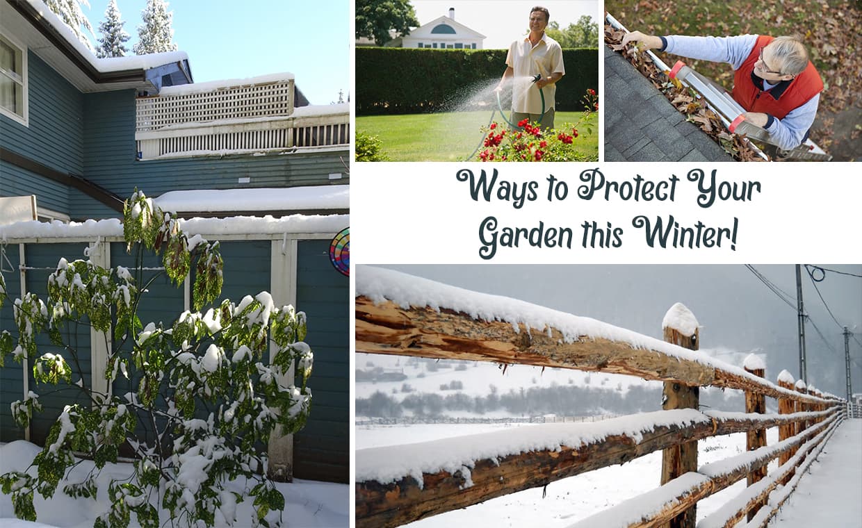 Winter Garden Protection Winter Garden Protection