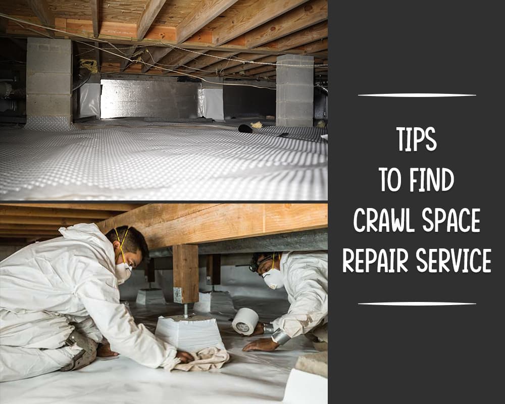 Crawl Space Work – 01 – 0205150003 Crawl Space Work
