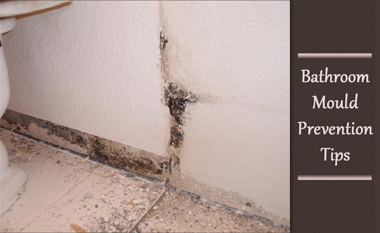 Bathroom Mould Prevention Tips – 01 – 0706070002 Bathroom Mould Prevention Tips