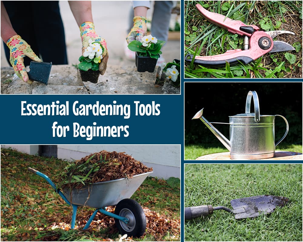 Gardening Tools – 01 – 1412030001 Gardening Tools