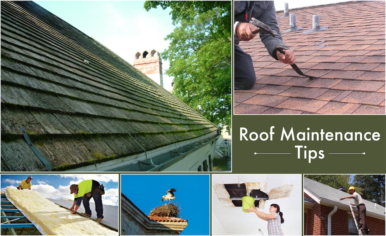 Roof Maintenance Tips Roof Maintenance Tips
