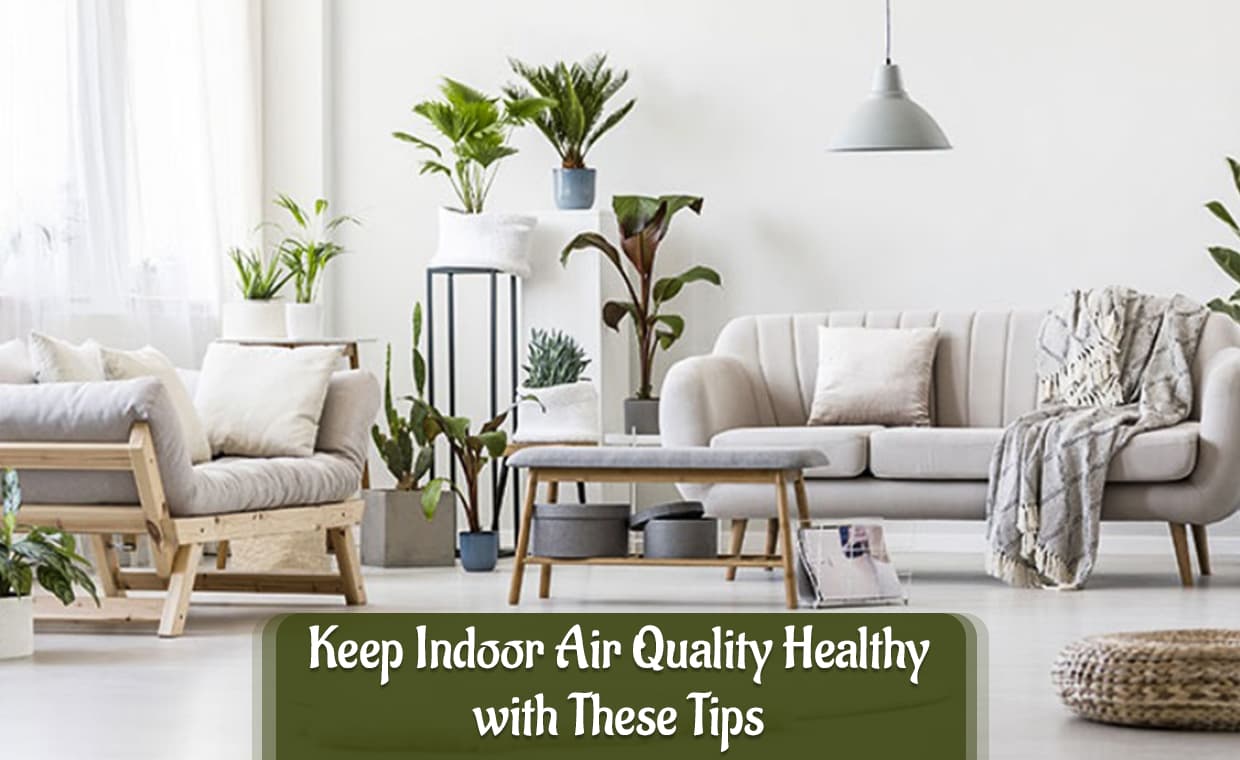 Healthy Indoor Air Quality Healthy Indoor Air Quality