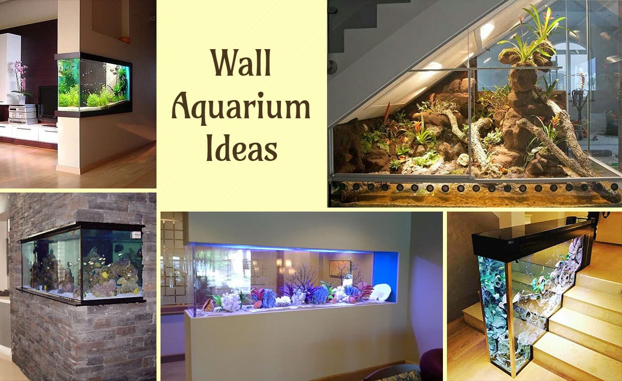 Wall Aquarium Ideas – 01 – 0505220001 Wall Aquarium Ideas