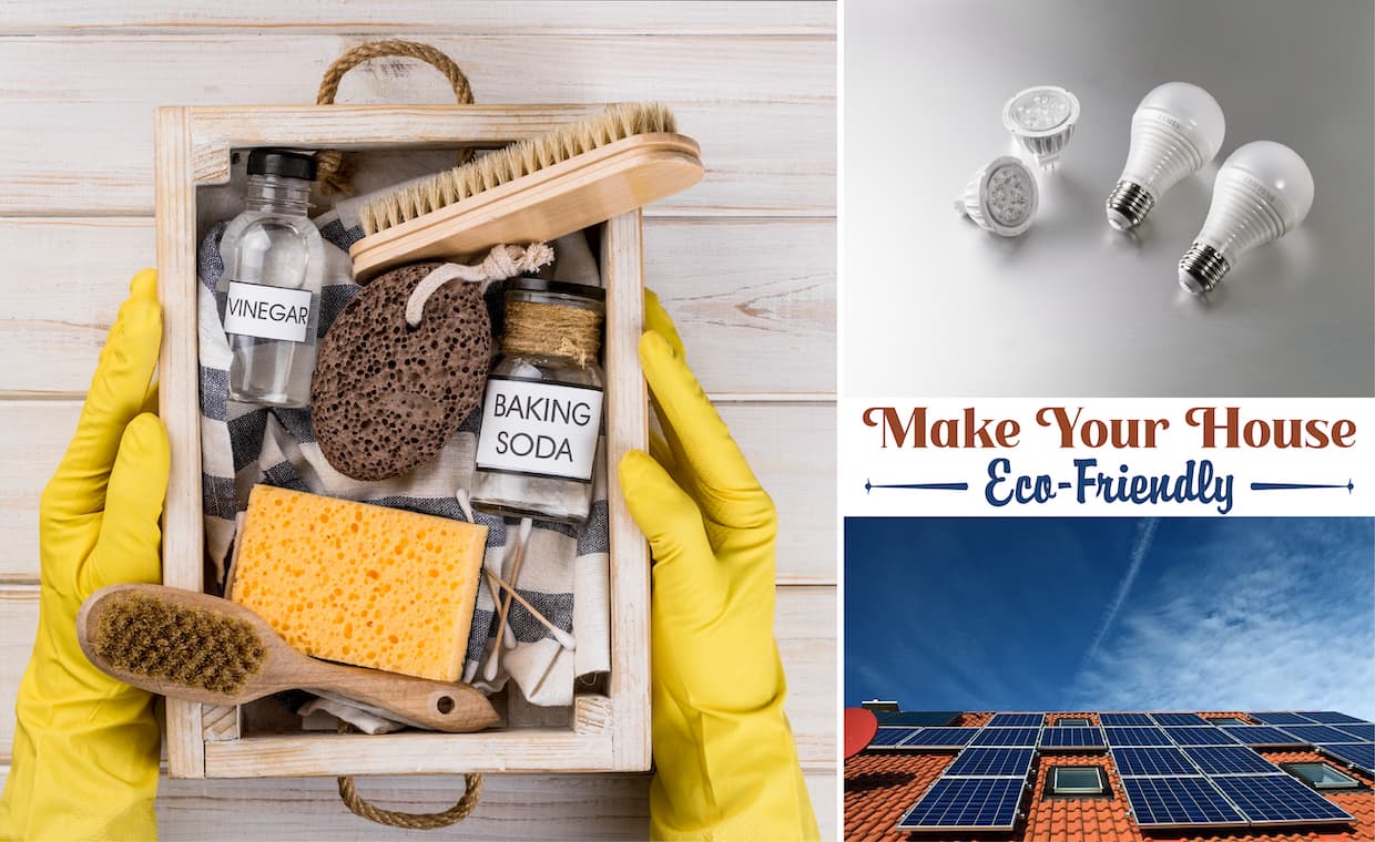 Eco-Friendly Home Eco-Friendly Home