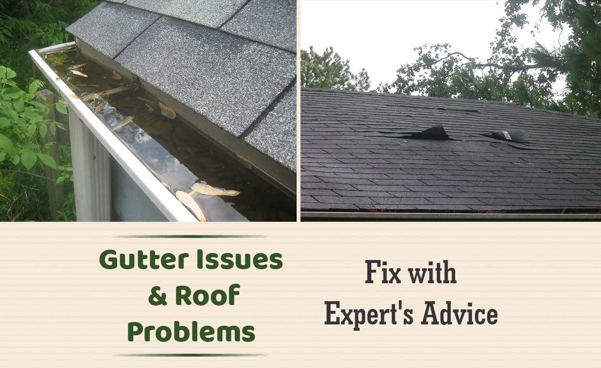 Gutter Issues & Roof Problems – Fix with Expert’s Advice – 01 – 020506010039 Gutter Issues & Roof Problems - Fix with Expert's Advice