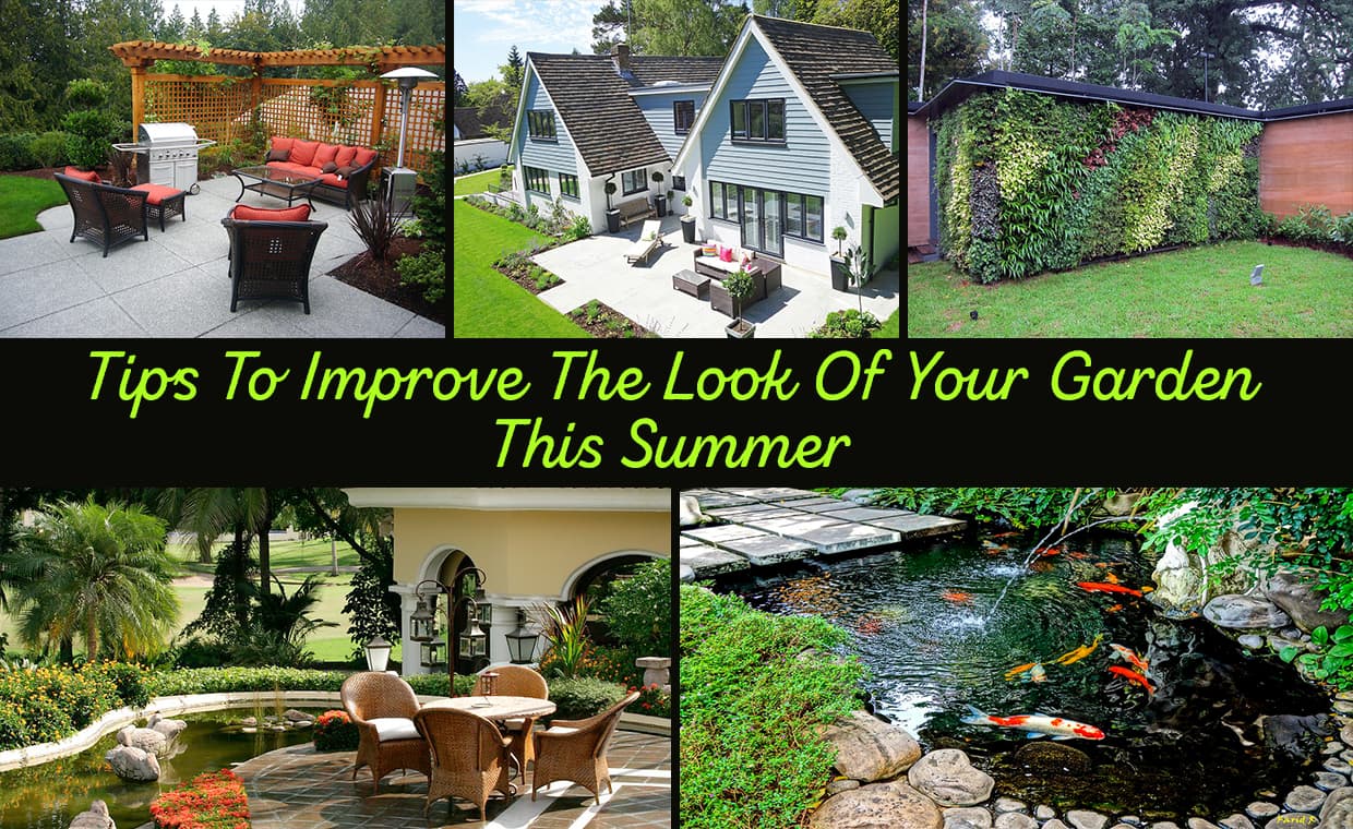 Tips To Improve The Look Of Your Garden This Summer – 01 – 1401010007 Tips To Improve The Look Of Your Garden This Summer
