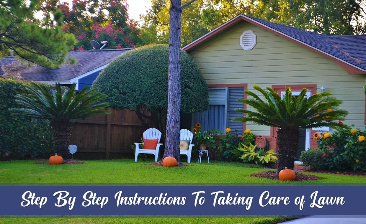 Step By Step Instructions To Taking Care of Lawn – 01 – 1403130006 Step By Step Instructions To Taking Care of Lawn