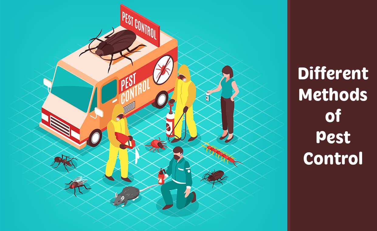 Pest Control Methods Pest Control Methods