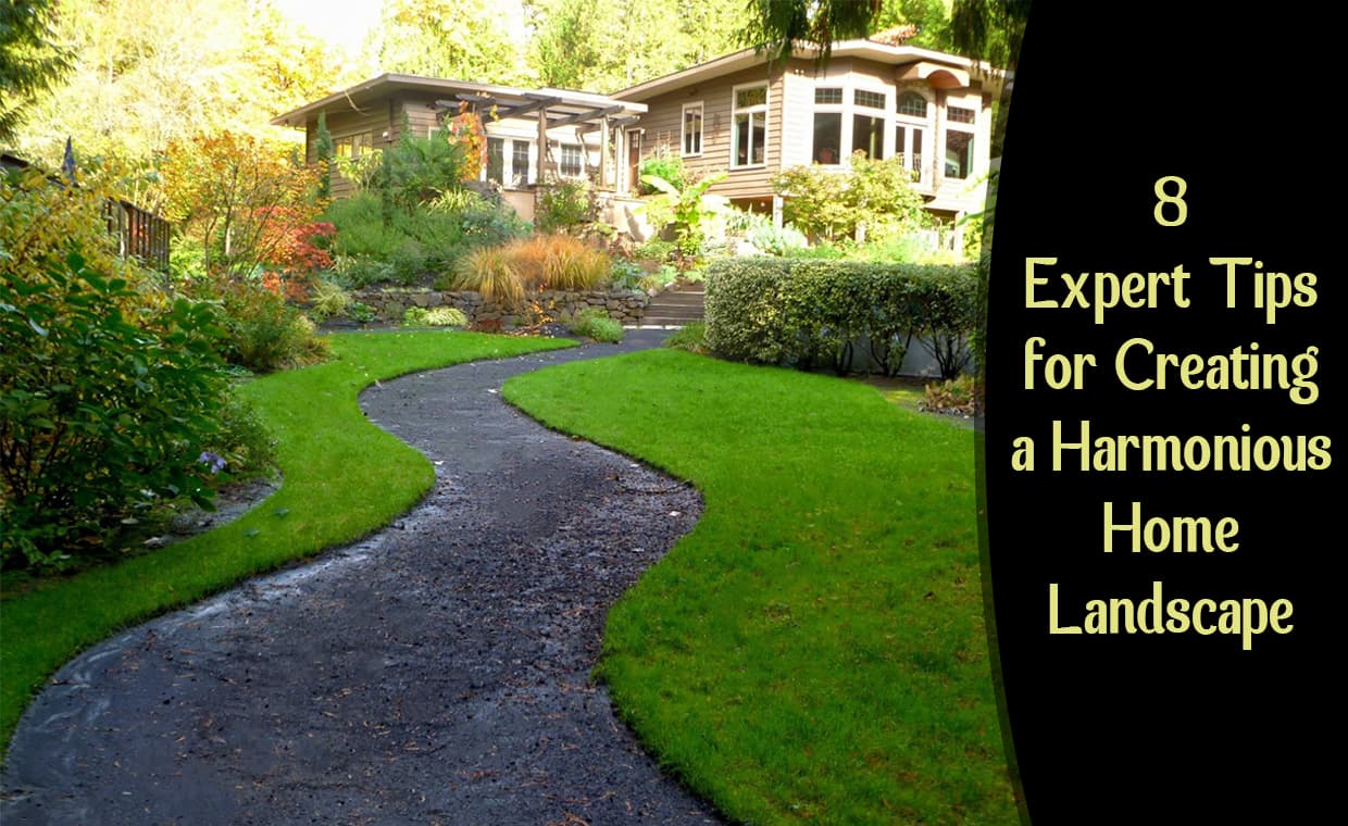 8 Expert Tips for Creating a Harmonious Home Landscape – 01 – 1401010013 8 Expert Tips for Creating a Harmonious Home Landscape