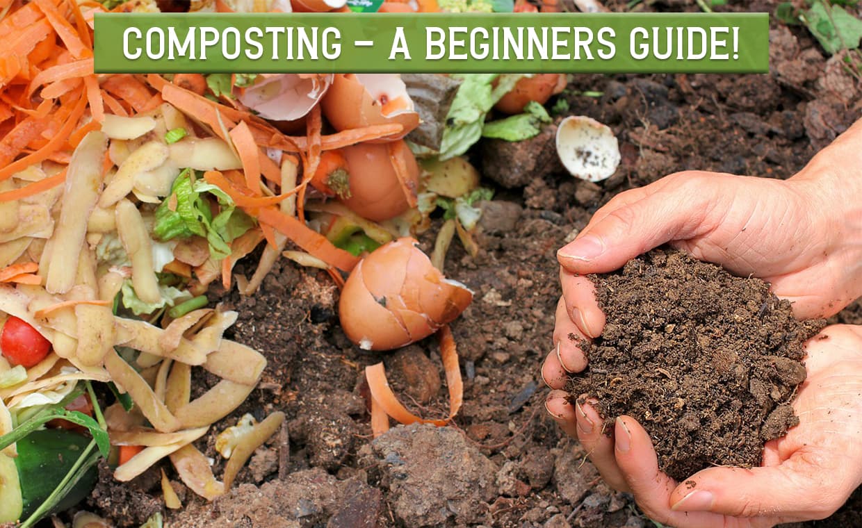 Composting Composting