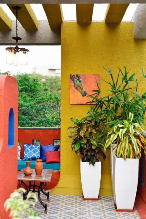 Home-Garden-on-Terrace-Floor-having-Parapet-Wall-with-Red-Wall-Paint-having-Voids-with-Blue-Wall-Paint-6 Swiper Content 5