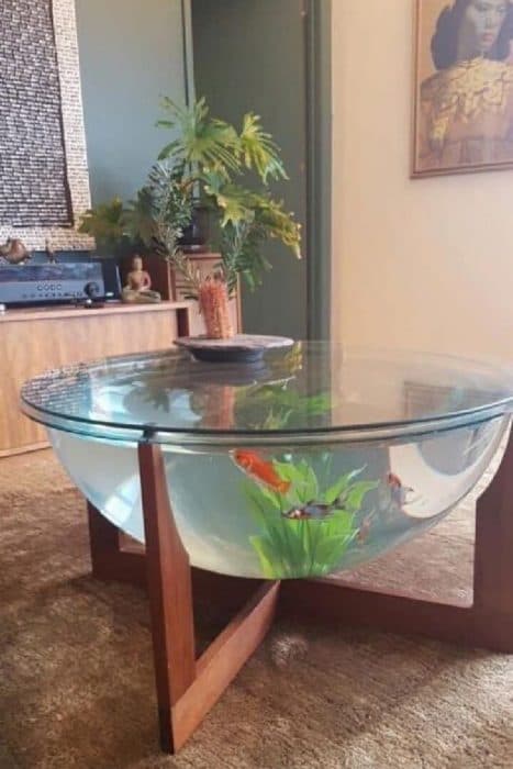 This-Unique-Glass-Fish-Tank-Table-with-Wooden-Legs-is-Serving-as-a-Center-Table. This Unique Glass Fish Tank Table with Wooden Legs