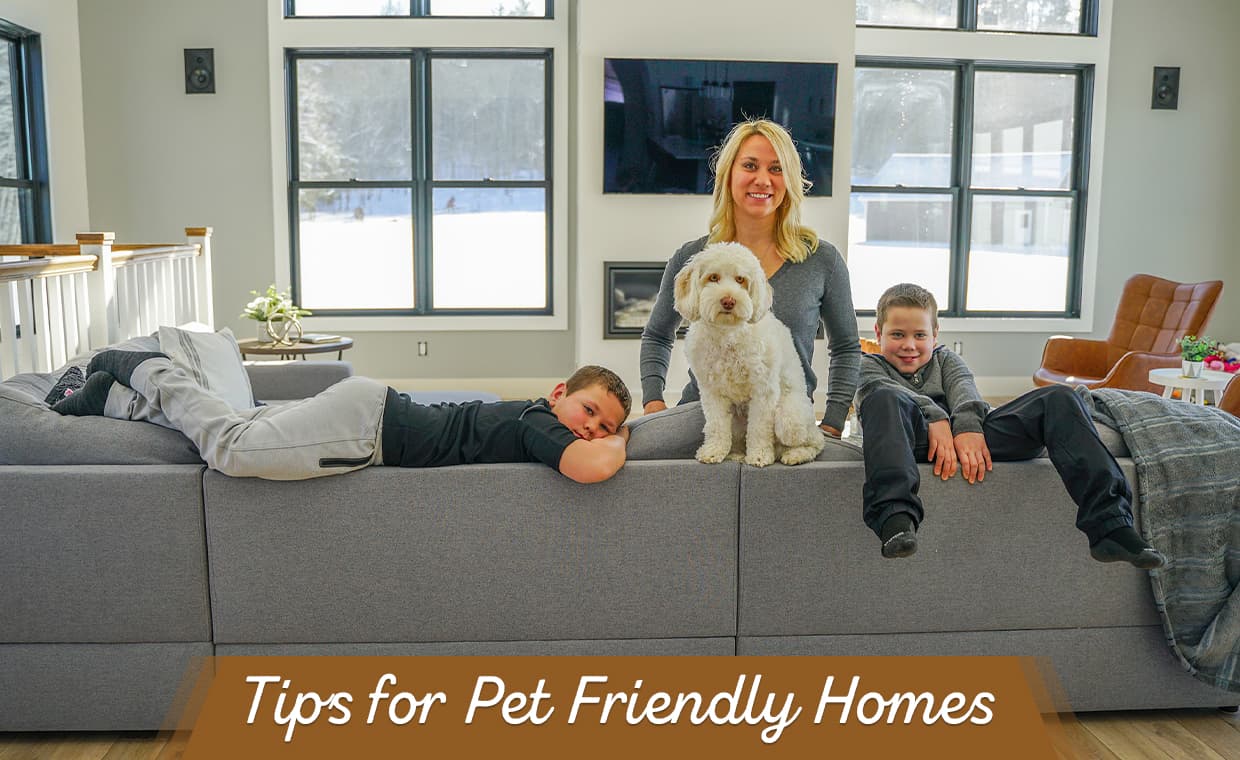 Tips to design a Pet Friendly House! – 01 – 0503010056 Tips to design a Pet Friendly House!