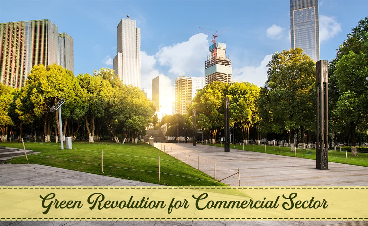 Green Revolution for Commercial Sector – 01 – 0113130008 Green Revolution for Commercial Sector