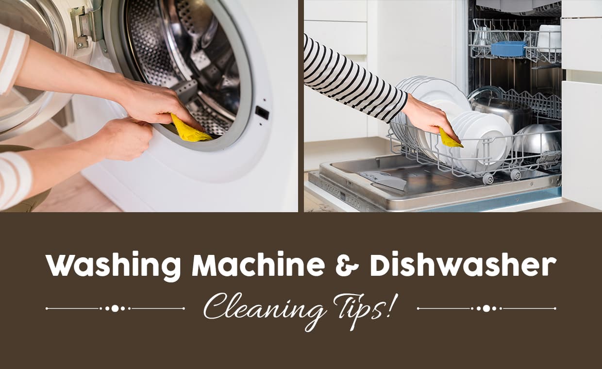 Cleaning Tips for Washing Machine & Dishwasher Cleaning Tips for Washing Machine & Dishwasher