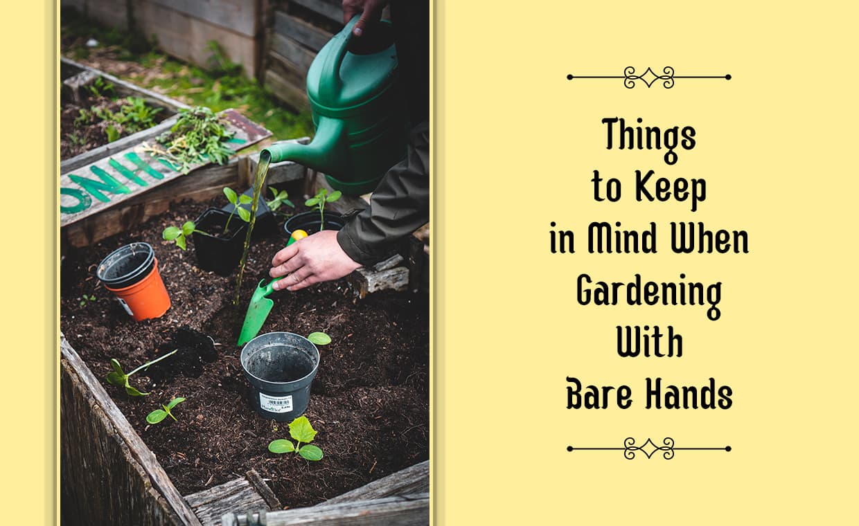 Gloveless Gardening Gloveless Gardening