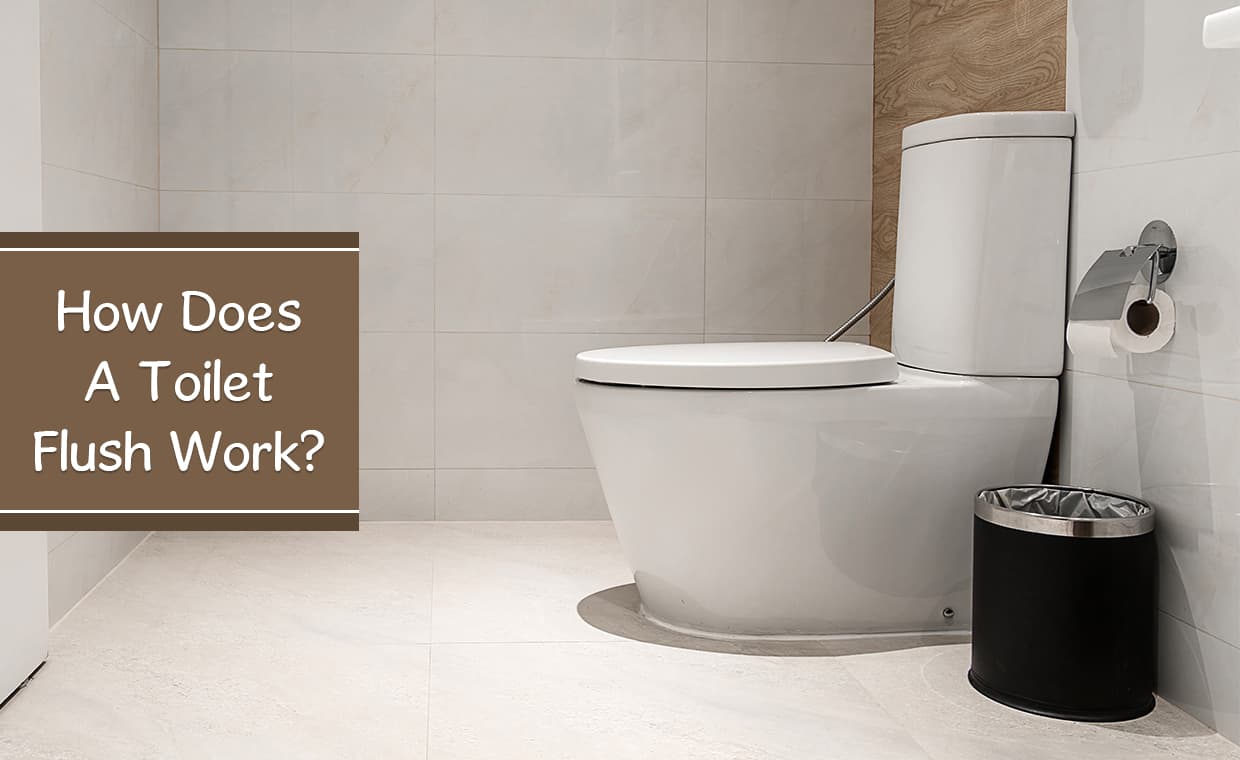 How The Toilet Flush Works How The Toilet Flush Works