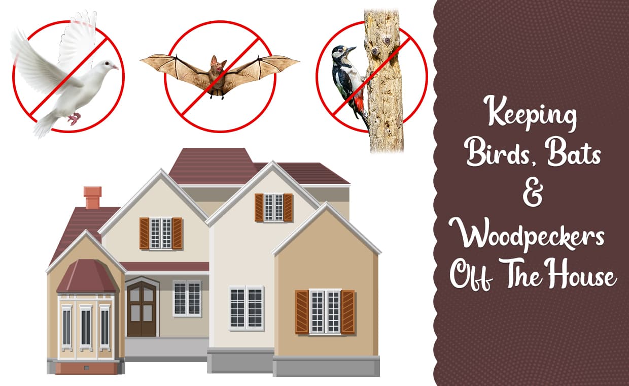 Keeps Bats, Birds & Woodpeckers Away Keeps Bats, Birds & Woodpeckers Away