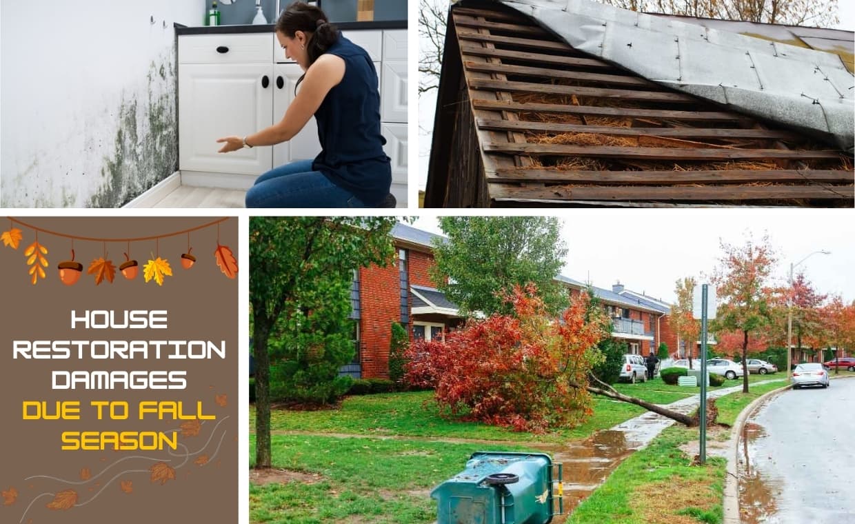 Common Restoration Damages Common Restoration Damages