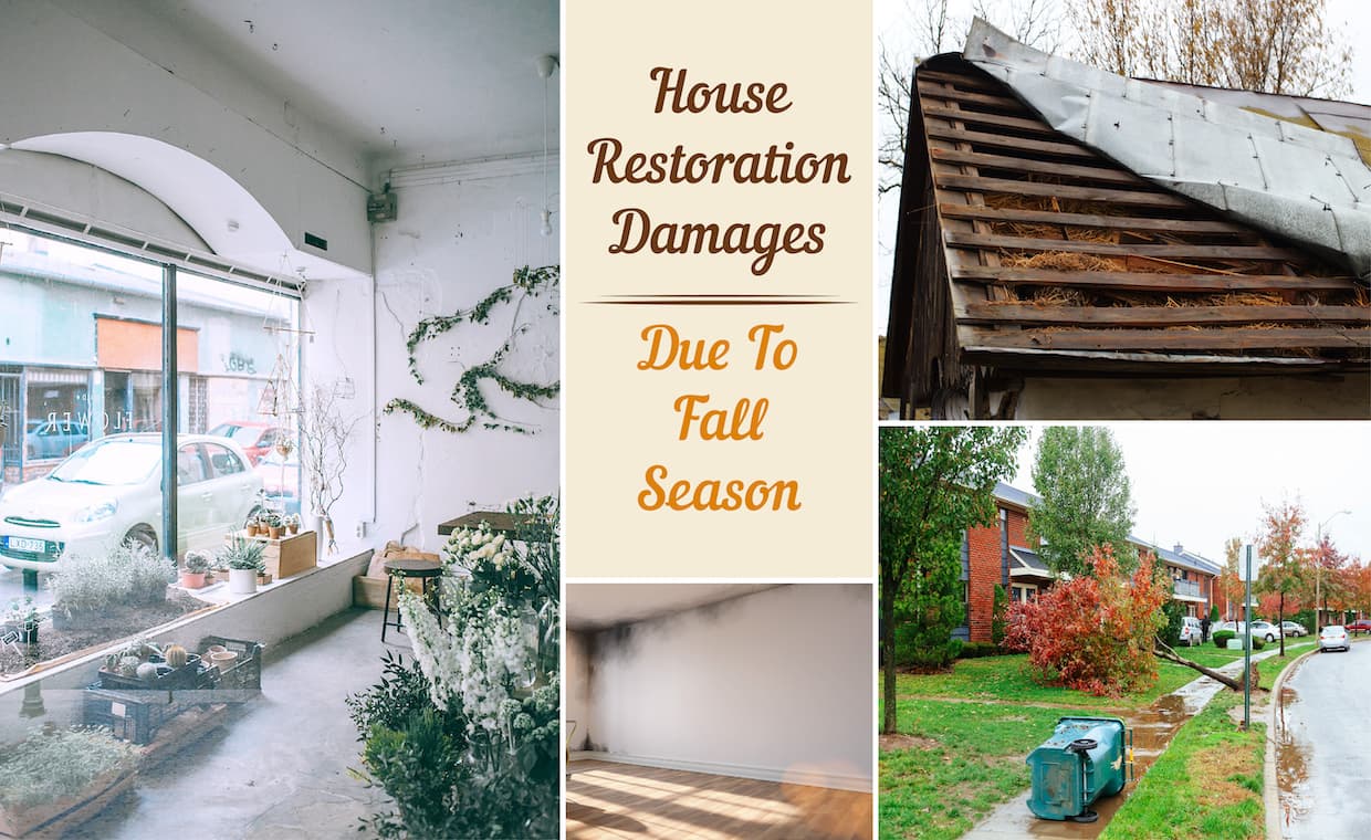 Common restoration damages Common restoration damages