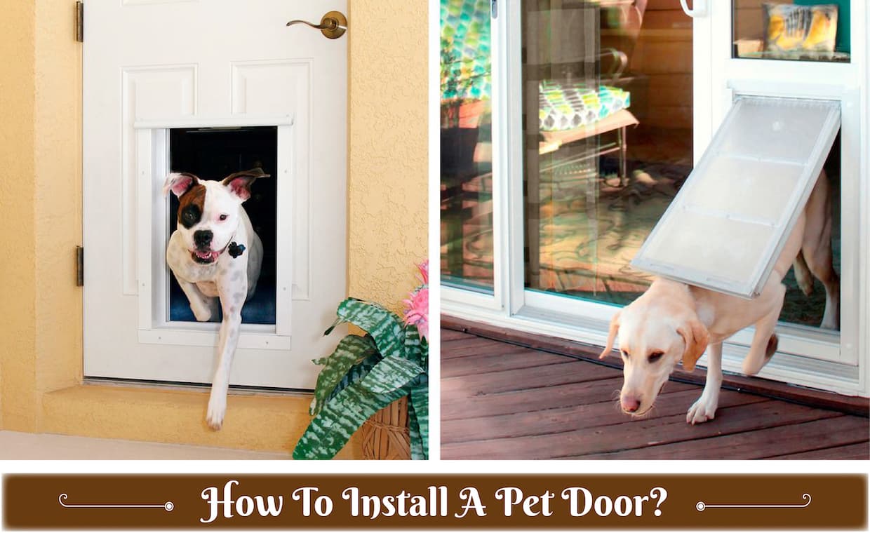 Pet Door Pet Door