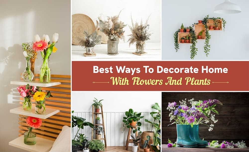 Best Ways To Decorate Home With Flowers And Plants Best Ways To Decorate Home With Flowers And Plants