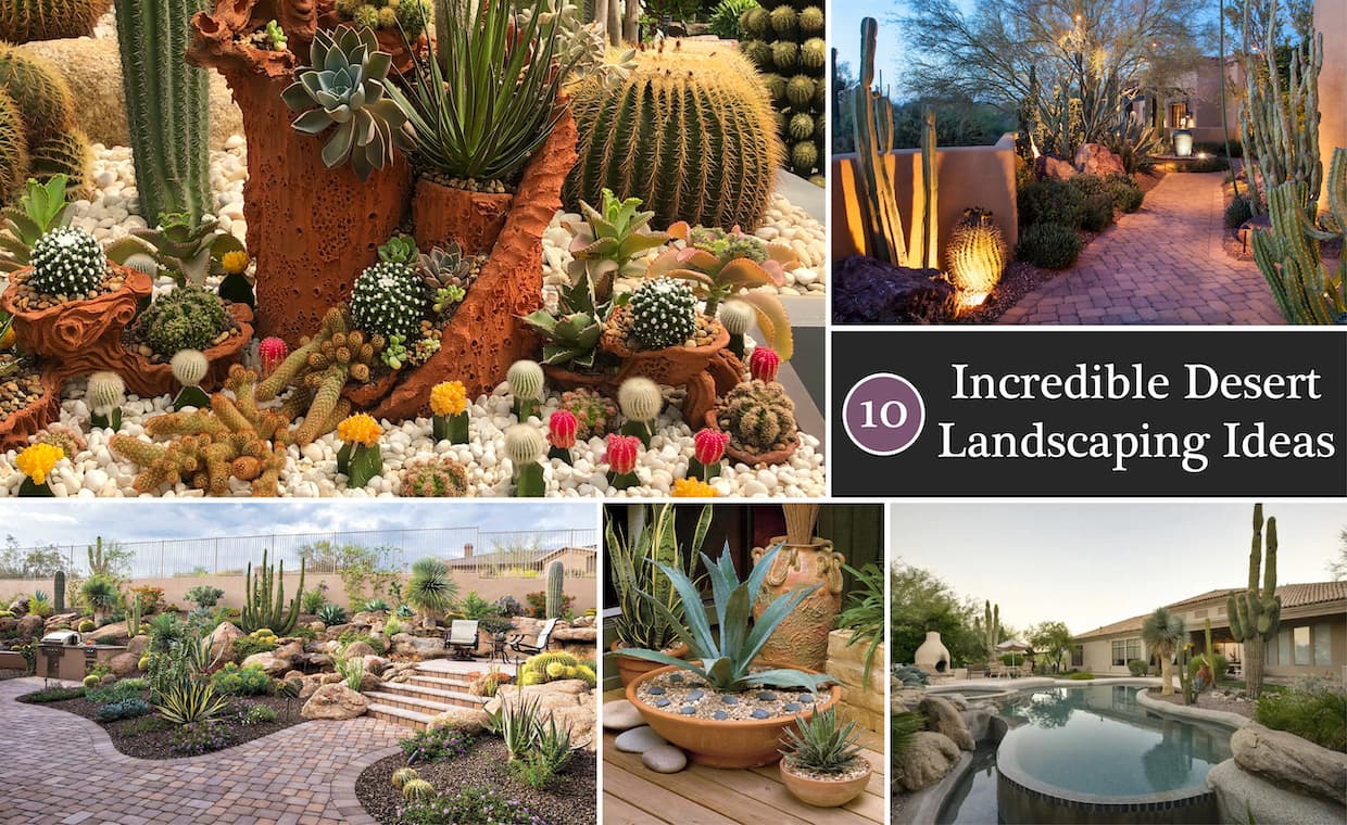 Desert Landscaping Ideas Desert Landscaping Ideas