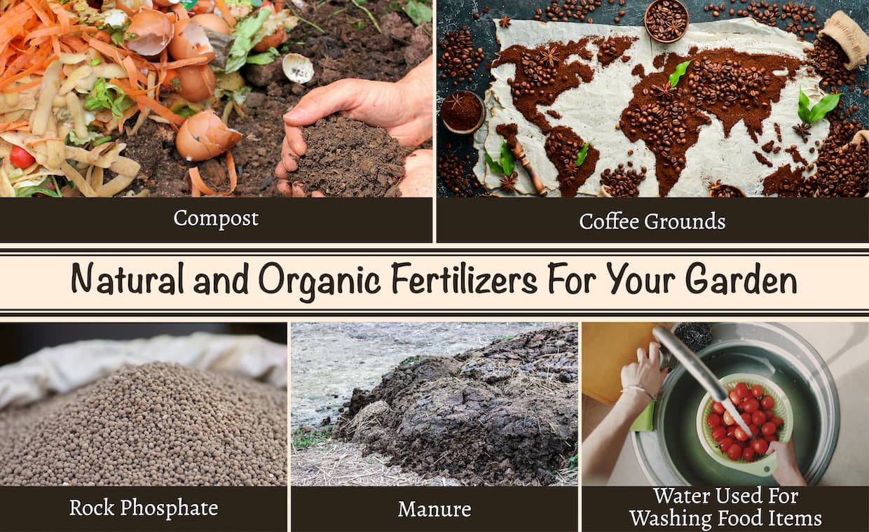 Natural and Organic Fertilizers For Your Garden Natural and Organic Fertilizers For Your Garden