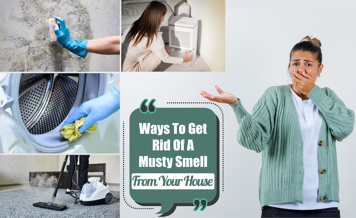 Remove Musty Smells From Your Home Remove Musty Smells From Your Home