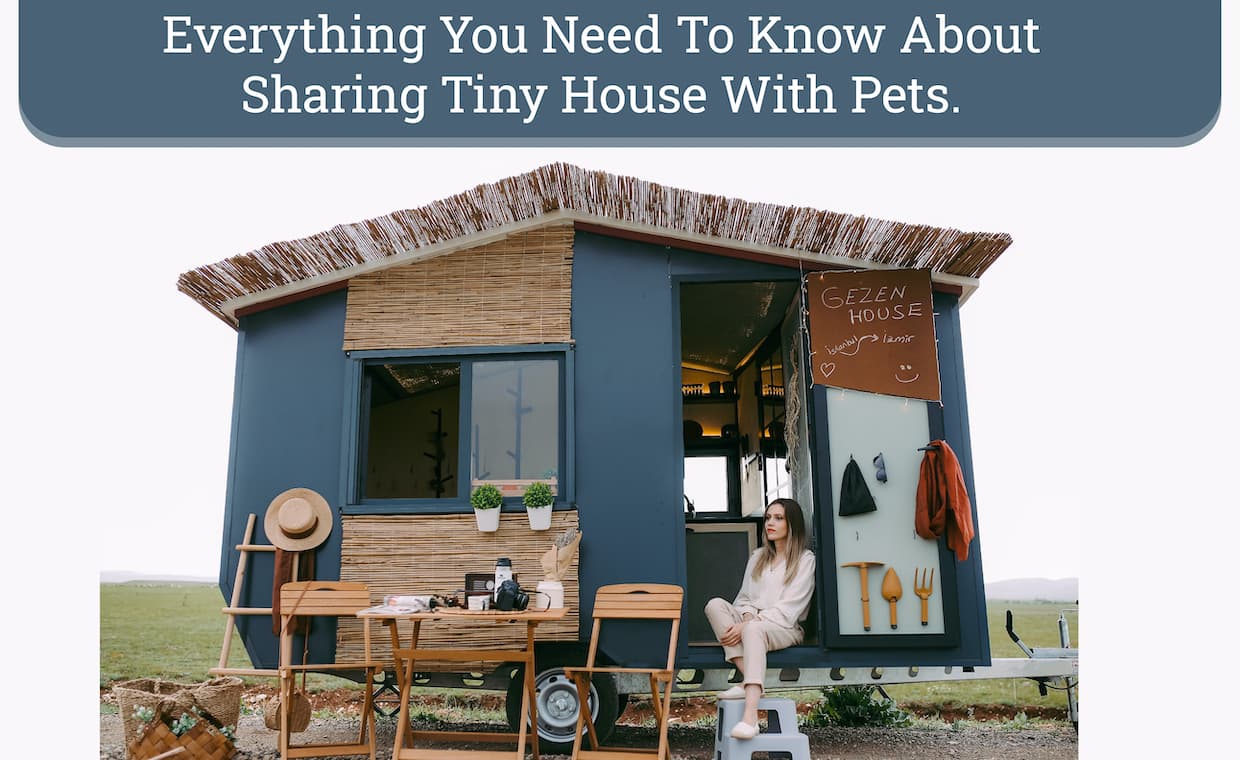 Sharing tiny house with pet Sharing tiny house with pet