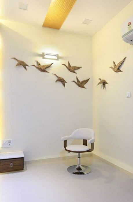 The flying saga of birds is depicted on walls The flying saga of birds is depicted on walls