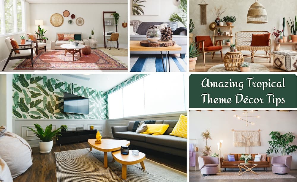 Amazing Tropical Theme Décor Tips Amazing Tropical Theme Décor Tips
