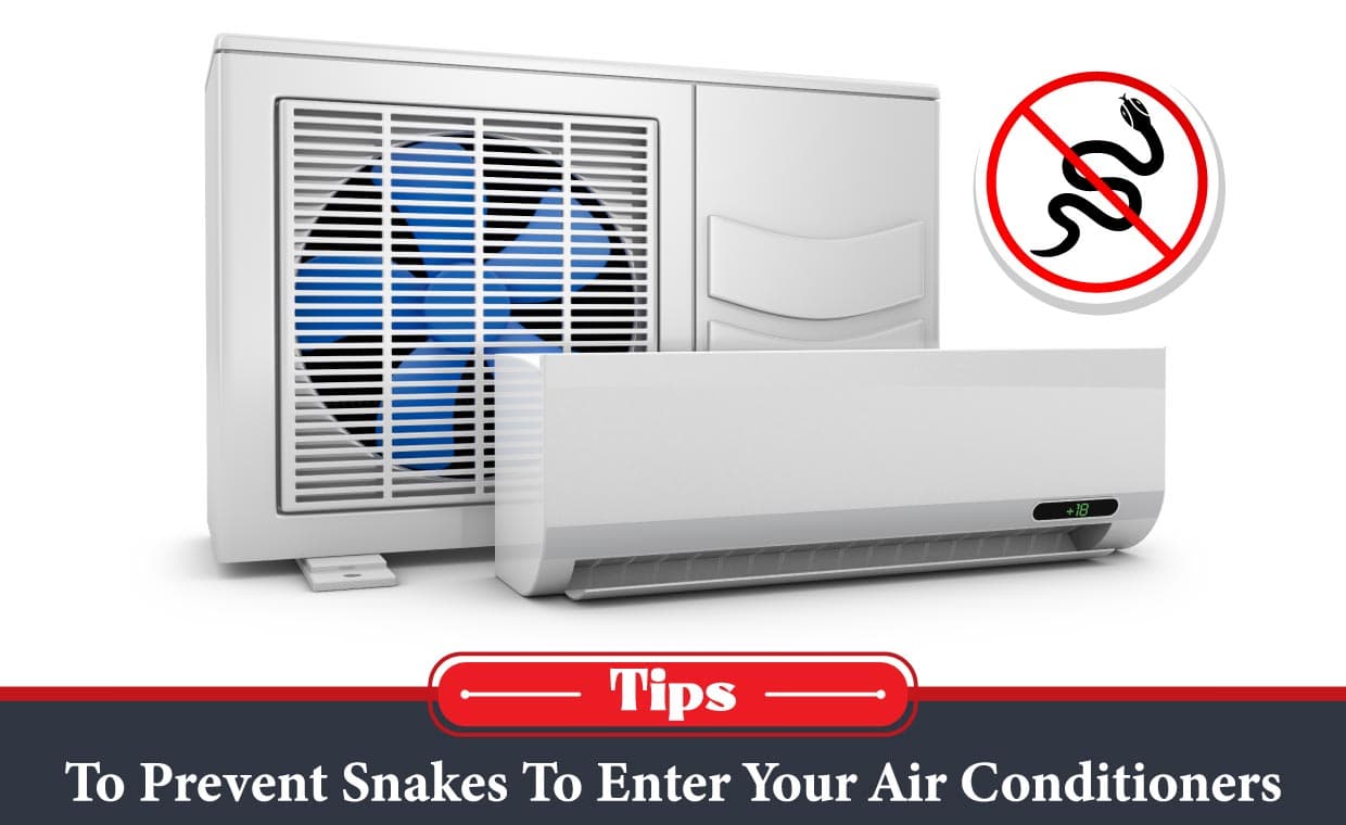 How to Keep Snakes out of Air Conditioner How to Keep Snakes out of Air Conditioner