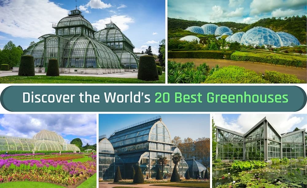Best greenhouses in the World Best greenhouses in the World