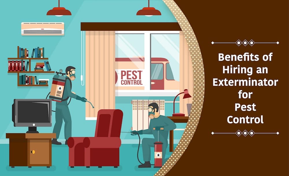 Exterminator for Pest Control Exterminator for Pest Control