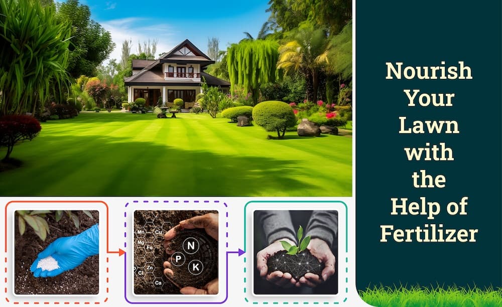 How Does Fertilizer Help Your Lawn Grow How Does Fertilizer Help Your Lawn Grow